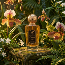 Load image into Gallery viewer, Marien Patchouli Unisex Luxury Eau de Parfum | Fresh & Woody - 100ml