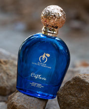 Charger l'image dans la galerie, Marien C'est La Vie Unisex Luxury Eau de Parfum | Fresh and Woody - 100ml