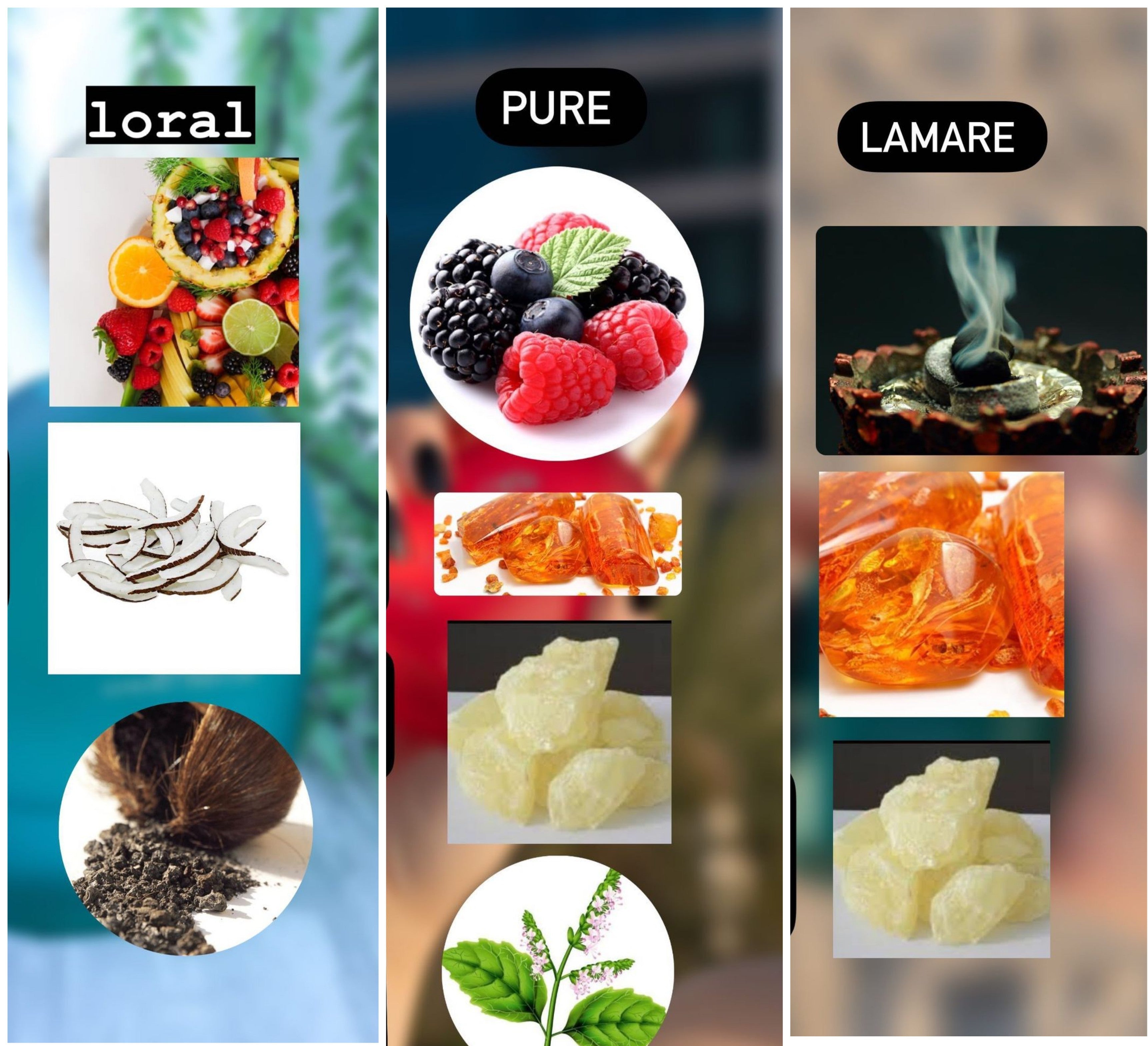 Spicy Notes All You Need To Know About Perfume Notes! – Fragrance Mall